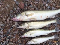 F IMG-20150921-WA0000